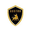 Go9Tro Wireless LLC logo